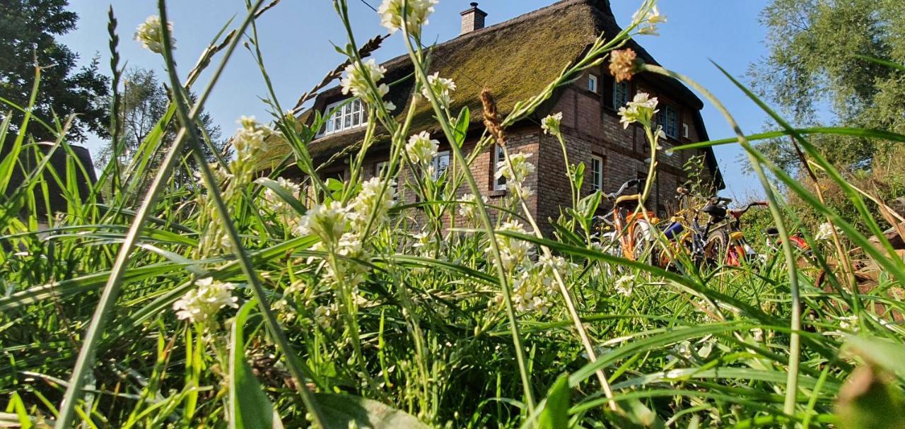App. Tueddelkroms, 2-3 Pers., In Traumhafter Alleinlage, Naehe Binz Zirkow Exteriér fotografie